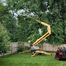 Best Aeration Services  in Watsessing, NJ